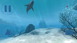 Скриншоты Sharks VR
