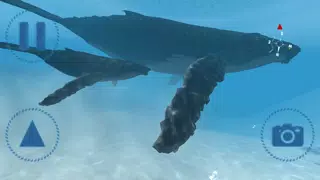 Скриншоты Sharks VR