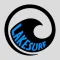 Lakesurf Balance Board