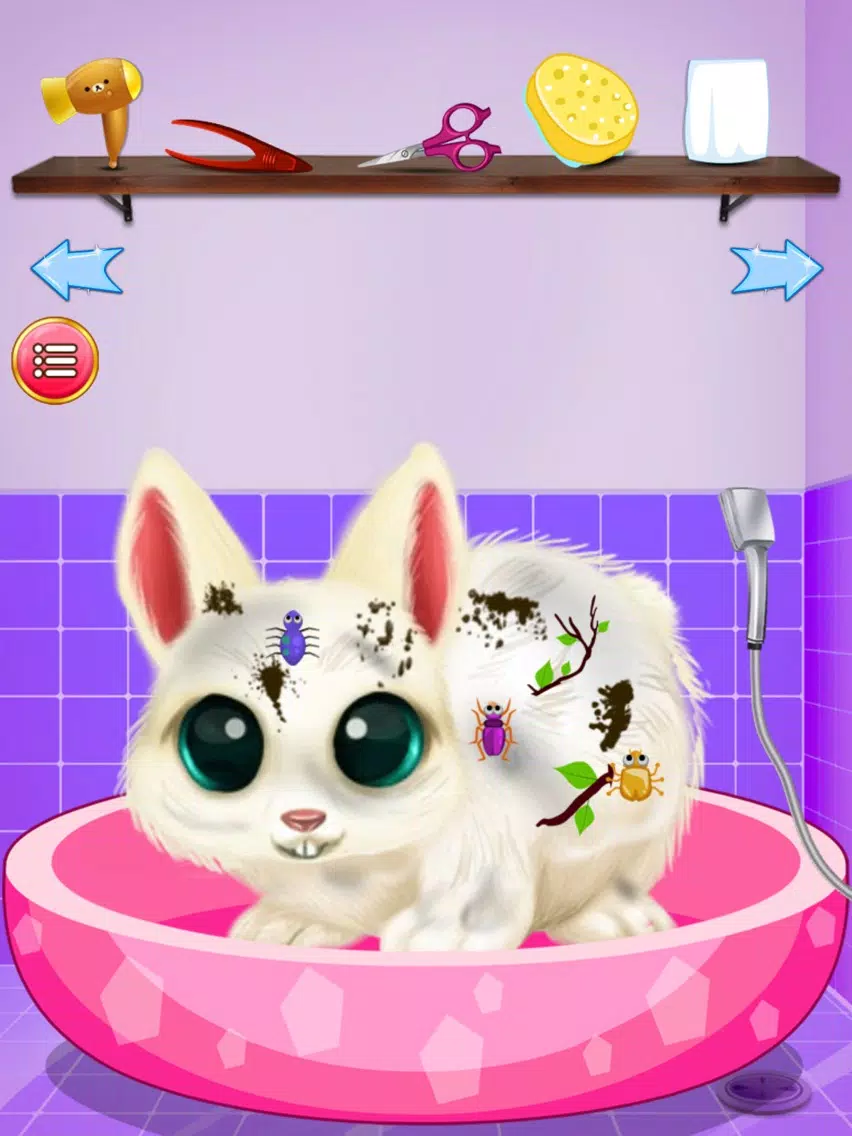 Pet Care Mania iPad Screenshots