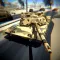 Desert Storm Combat