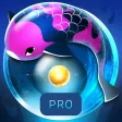 Zen Koi Pro Zen Koi Pro