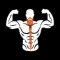 Rob Lapham Training