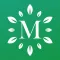 Mediterranean diet: recipes, meal plans and food list