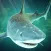 Sea of Sharks - Survival World