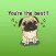 Duke The Funniest Pug English Stickers