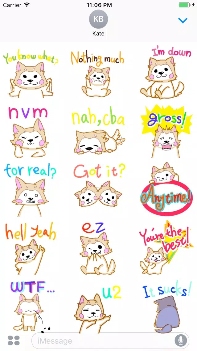 Zrzuty ekranu Yogi the naughty dog stickers