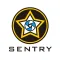 SENTRY Drone