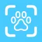 Animal Identifier - AI Scanner