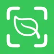 Plant Identifier - AI Scanner