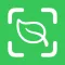 Plant Identifier - AI Scanner
