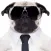 Post Dog