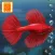 Fish Tycoon Lite