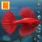 Fish Tycoon Lite