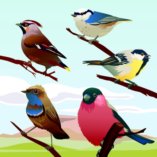 Bird Sounds! Bird Sounds!