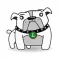 Team Sportsdog