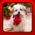 Christmas Puppy Dog Jigsaw Puzzles for Toddlers