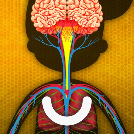 How does The Human Body Work? How does The Human Body Work?