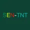 sentnt, Senegal tv