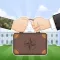 Age of conflict : war strategy
