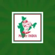 Mr India