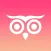 Owlidays - Holidays wishes and greetings