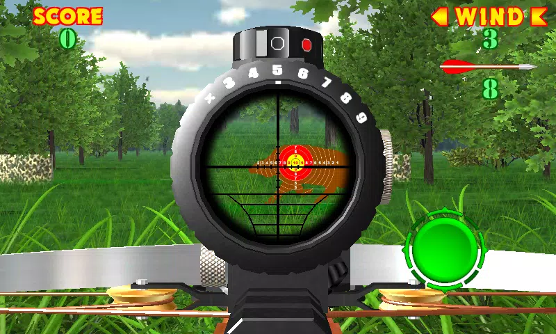 Crossbow Shooting Gallery Screenshots