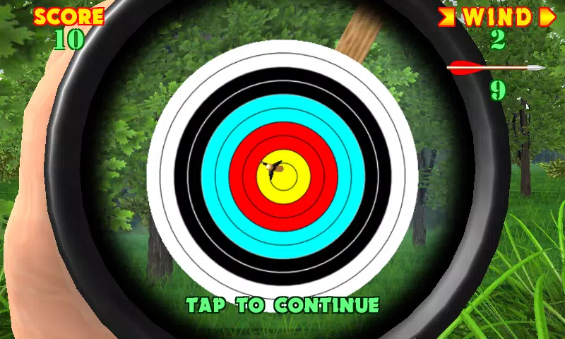 Crossbow Shooting Gallery Screenshots