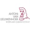 AVL symposium