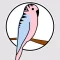 BudgieSaver