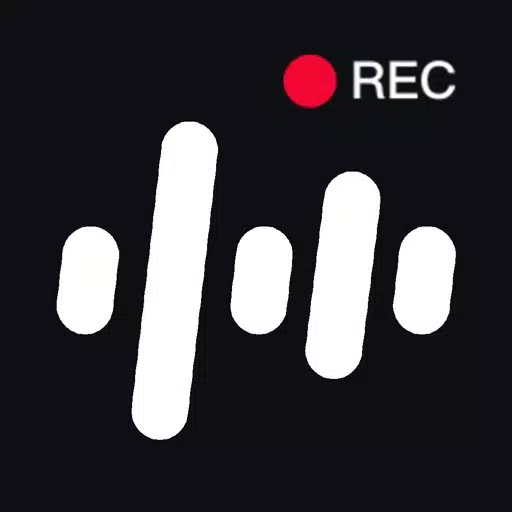 录音专家 - 录音转文字精准识别翻译专家 录音专家 - 录音转文字精准识别翻译专家