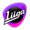 Liigavahti