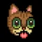 Lil BUB's HELLO EARTH