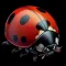Insect ID:Bug Finder-Scanner