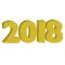 New Year 2018!