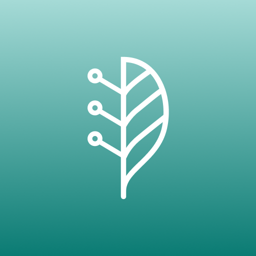 LINDERA Mobility Analysis