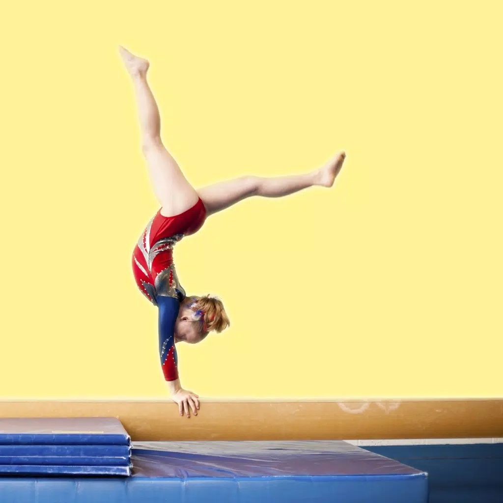 Learn Gymnastics Skills Learn Gymnastics Skills