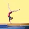 Learn Gymnastics Skills