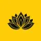LingoThai - Learn Thai