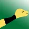 Corn Snake