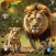 Lion Simulator Hunting Games