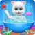 Cute Kitty Cat Care