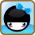 Avatar Ninja