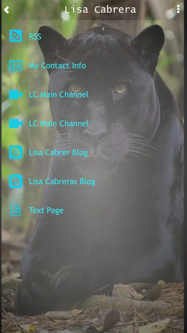 Lisa Cabrera Screenshots