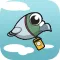 Snappy Bird - Flap to Chat
