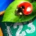 Bugs and Numbers
