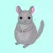 Little Chinchilla