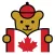Maple Bear Connect