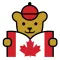 Maple Bear Connect