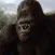 Clash of Gorilla